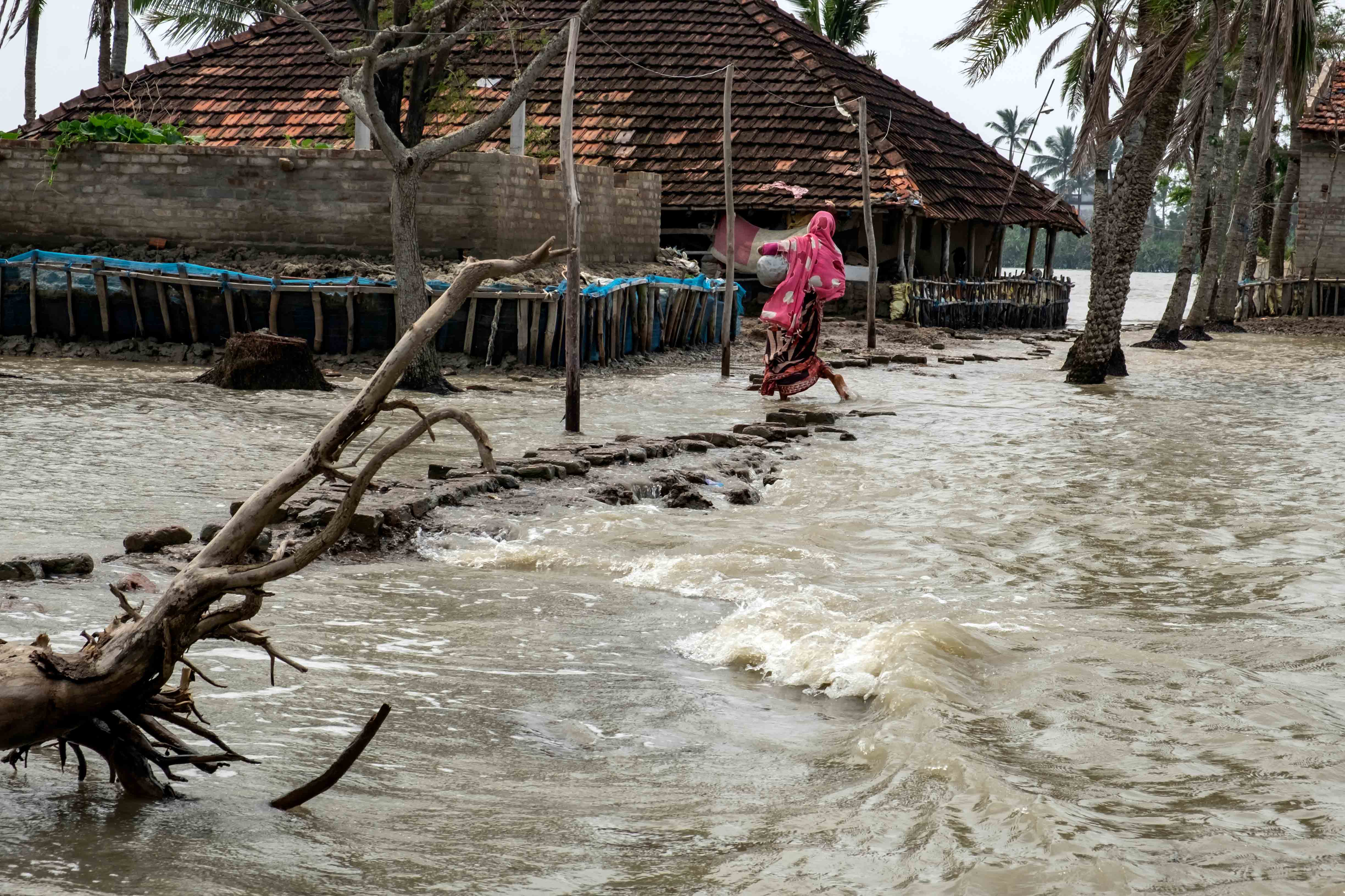 The Sundarbans Disaster Damage And Displacement Sahapedia