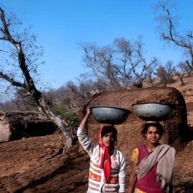 Women play the role of collection of biowaste and making dung cakes which are store din chirp and used as fuel in cooking.