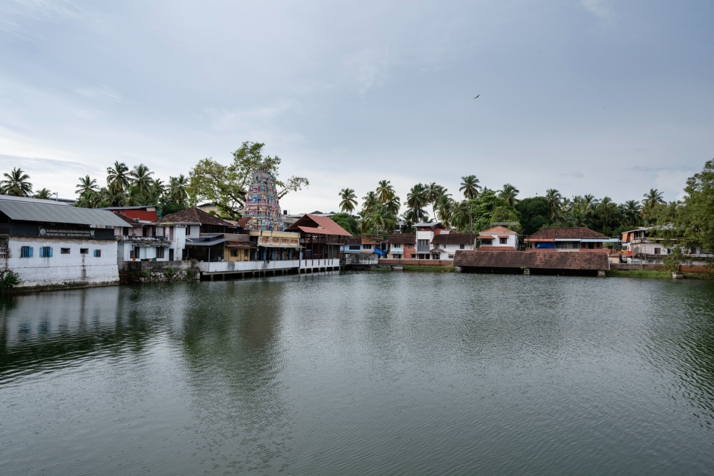 Tali Temple pond.