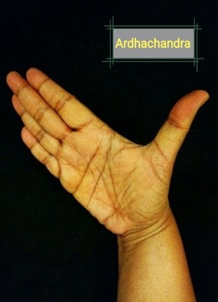 Asamyukta Mudra: Single Handed Gestures | Sahapedia